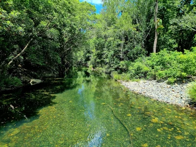 Dorrigo - Photo 4