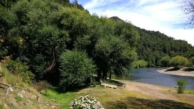 Curarrehue - Photo 4