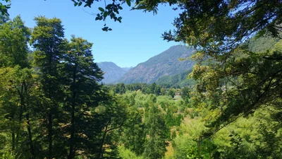 Curarrehue - Photo 5