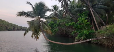 Uttara Kannada District - Photo 2