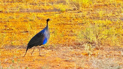 Samburu District - Photo 3