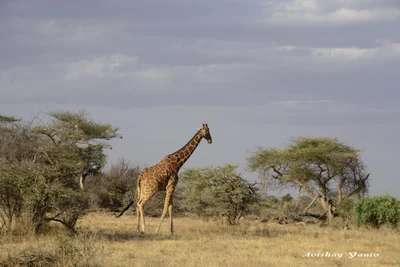 Samburu District - Photo 5