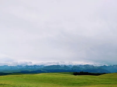 Tekes County - Photo 4