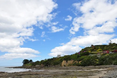 Kaka Point - Photo 2
