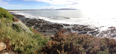 Kaka Point - Photo 5