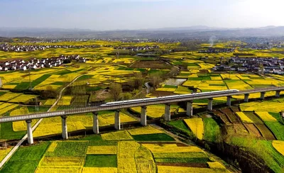 Yang County - Photo 5