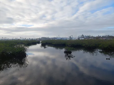 Surigao del Norte Province - Photo 2