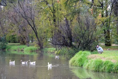 Tumut - Photo 2