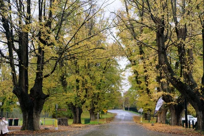 Tumut - Photo 3