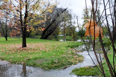 Tumut - Photo 4