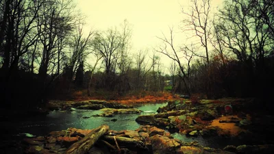 North East - Photo 3
