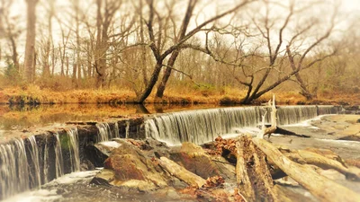North East - Photo 4