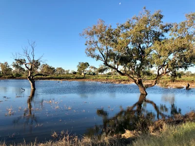 Moree - Photo 2