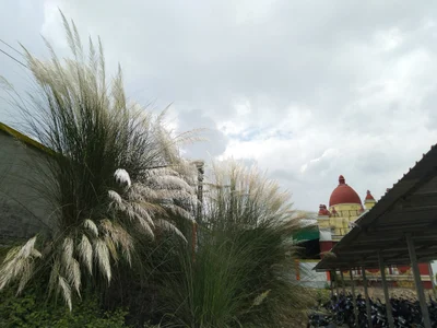 Raghunathpur - Photo 2
