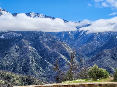 Sequoia and Kings Canyon National Park - Photo 4