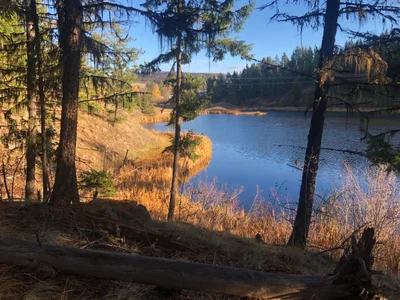 Logan Lake - Photo 5