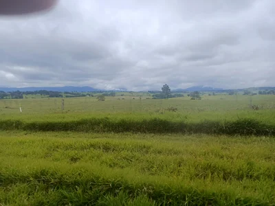 Malanda - Photo 4