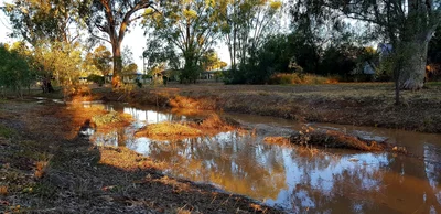 Charleville - Photo 4