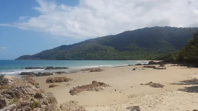 Cow Bay - Photo 2