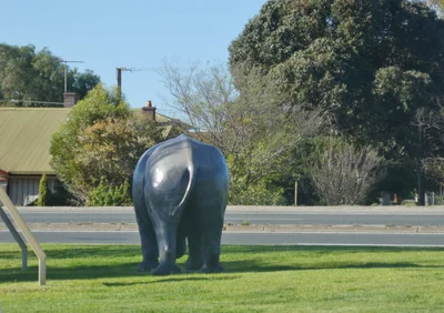 Tailem Bend - Photo 2