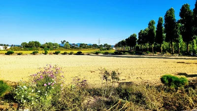 Jincheon-gun - Photo 5