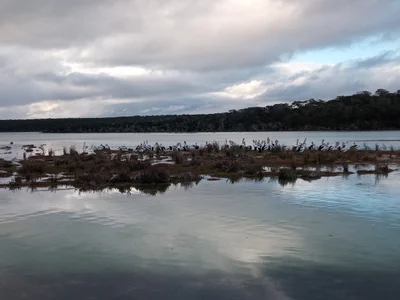 Bremer Bay - Photo 2