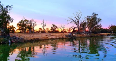 Waikerie - Photo 4