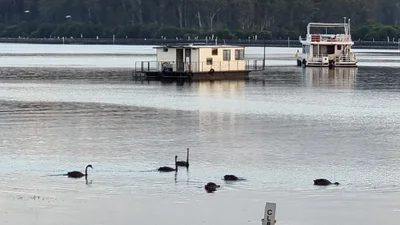 Batemans Bay - Photo 3
