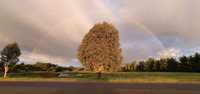Murrumbateman - Photo 2