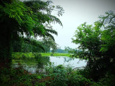 Shravasti - Photo 2