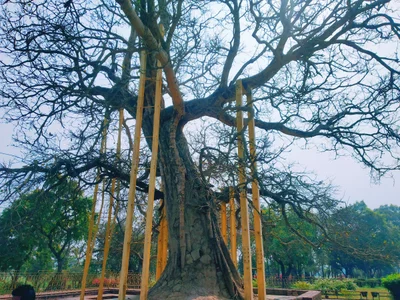 Shravasti - Photo 3