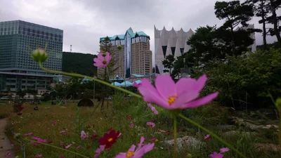 Jeongseon-gun - Photo 5