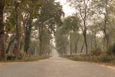 Lataguri - Photo 2