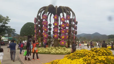 Hampyeong-gun - Photo 3