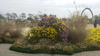 Hampyeong-gun - Photo 4