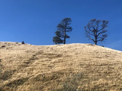 Korumburra - Photo 2