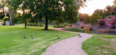 Wangaratta - Photo 3