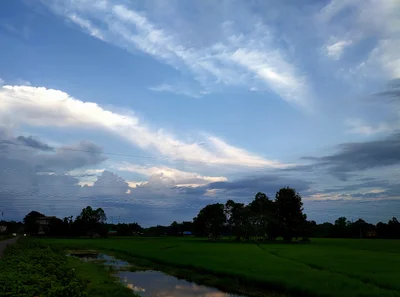 Maynaguri - Photo 2