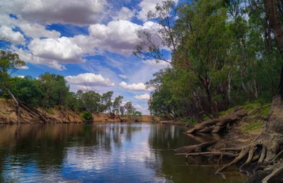 Deniliquin - Photo 3