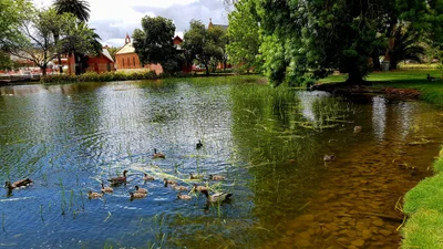 Deniliquin - Photo 5