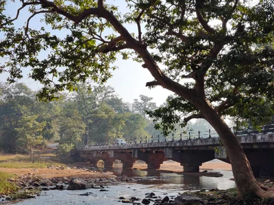 Dantewada - Photo 3