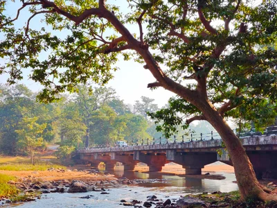 Dantewada - Photo 4