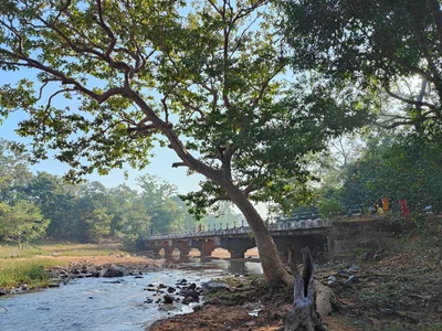 Dantewada - Photo 5
