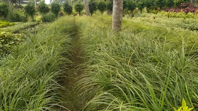 East Godavari District - Photo 5