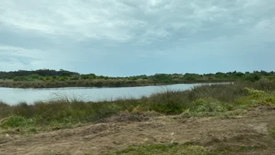 Salt Creek - Photo 4