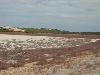 Salt Creek - Photo 5