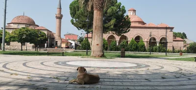 Iznik - Photo 4