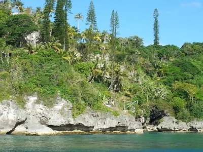 Lifou - Photo 2