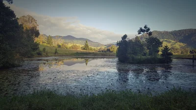 Eungella - Photo 3