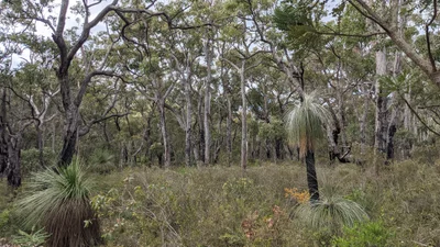 Porongurup - Photo 3